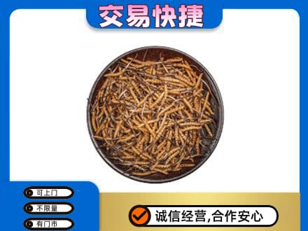 揭东区回收散虫草